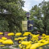 Campus beauty shot with NWU sign on a light pole.